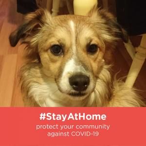 Meet your Posher, Jean